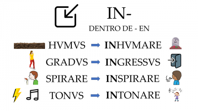 IN- DENTRO.png