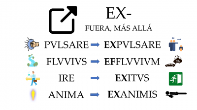 EX- FUERA.png