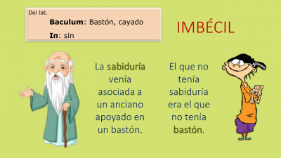 IMBÉCIL.png