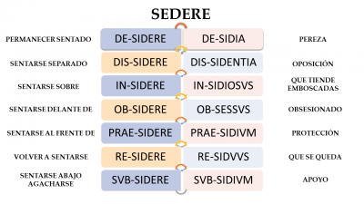 SEDERE.png