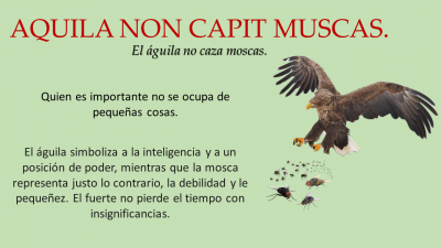 Aquila non capit muscas.png